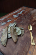 Dried Soursop Leaves | Annona muricata | Premium Whole Graviola Leaves