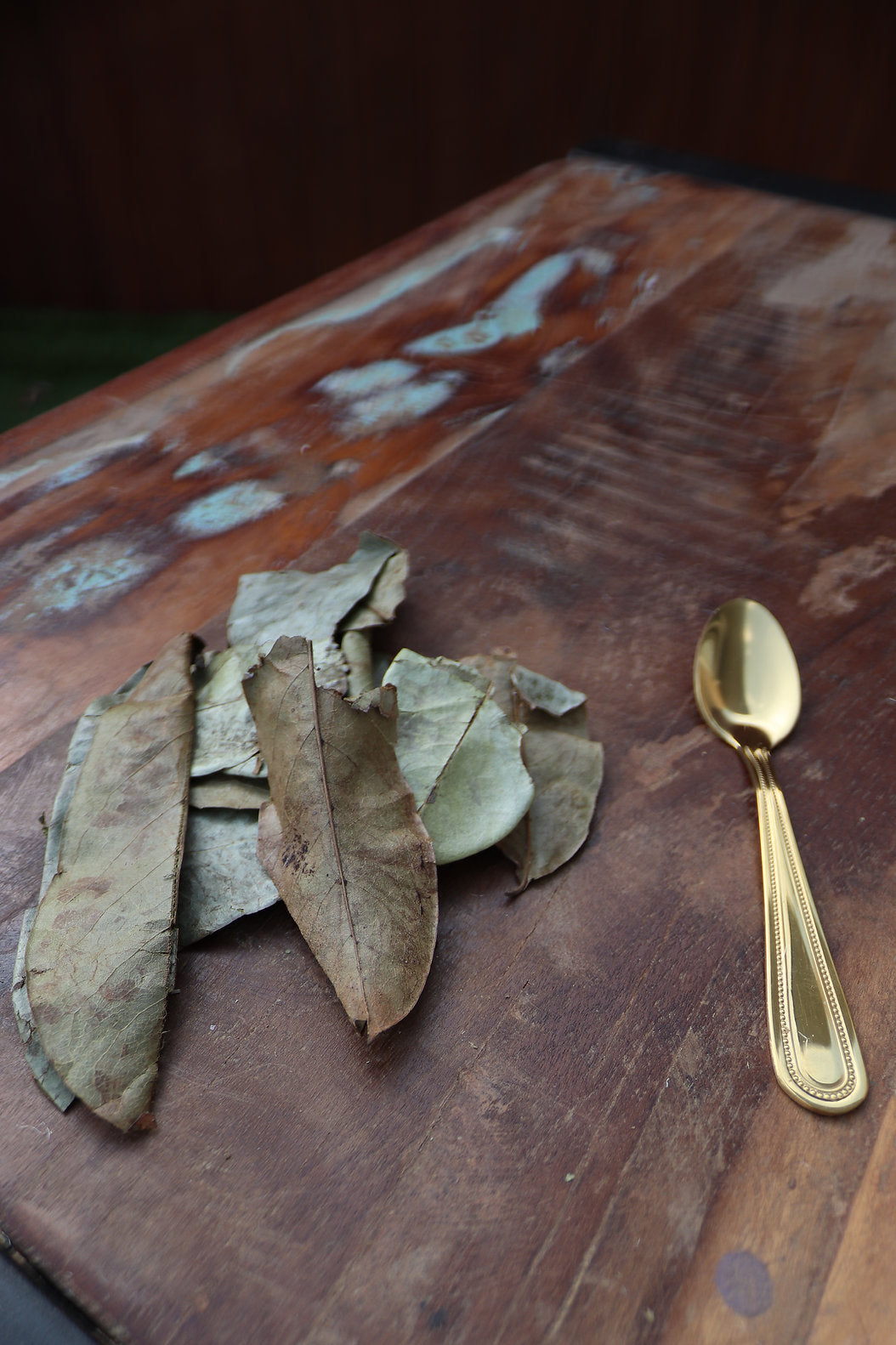 Dried Soursop Leaves | Annona muricata | Premium Whole Graviola Leaves